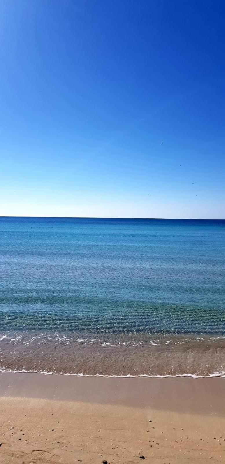 “Vistamare” Villa Torre Rinalda Bagian luar foto
